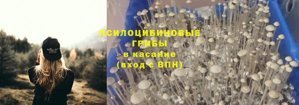 первитин Беломорск