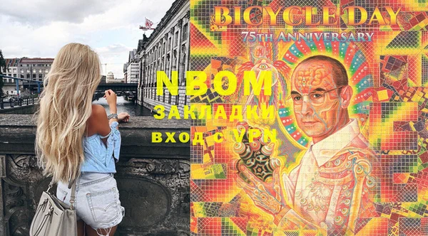 индика Балахна