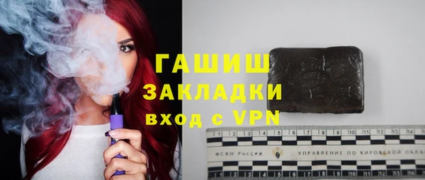 индика Балахна