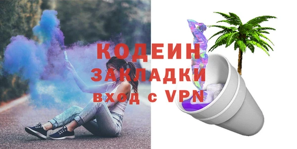 индика Балахна
