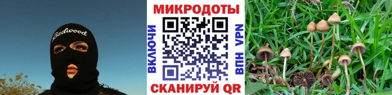 shop наркотические препараты  Старая Купавна  Галлюциногенные грибы MAGIC MUSHROOMS 